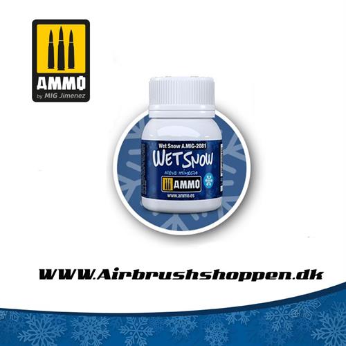AMIG 2081 Wet snow